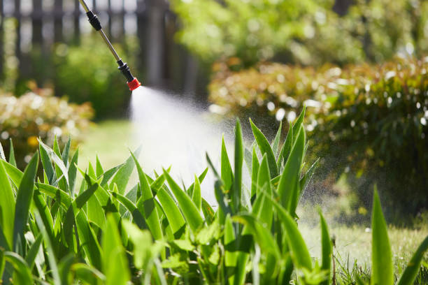 24/7 Emergency Mosquito Control experts in Craig, AK